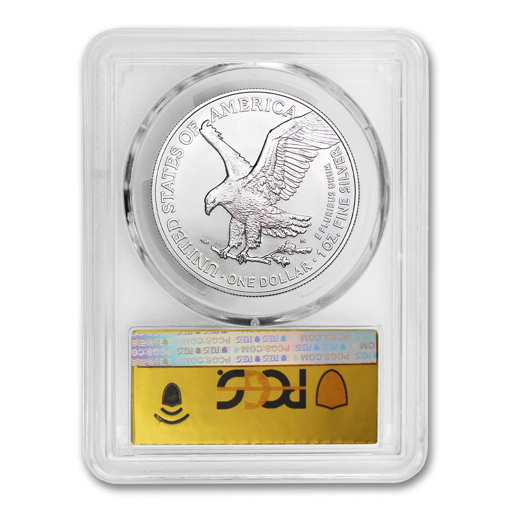 1 oz American Silver Eagle Coin MS-70 R626708