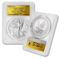1 oz American Silver Eagle Coin MS-70 R626708