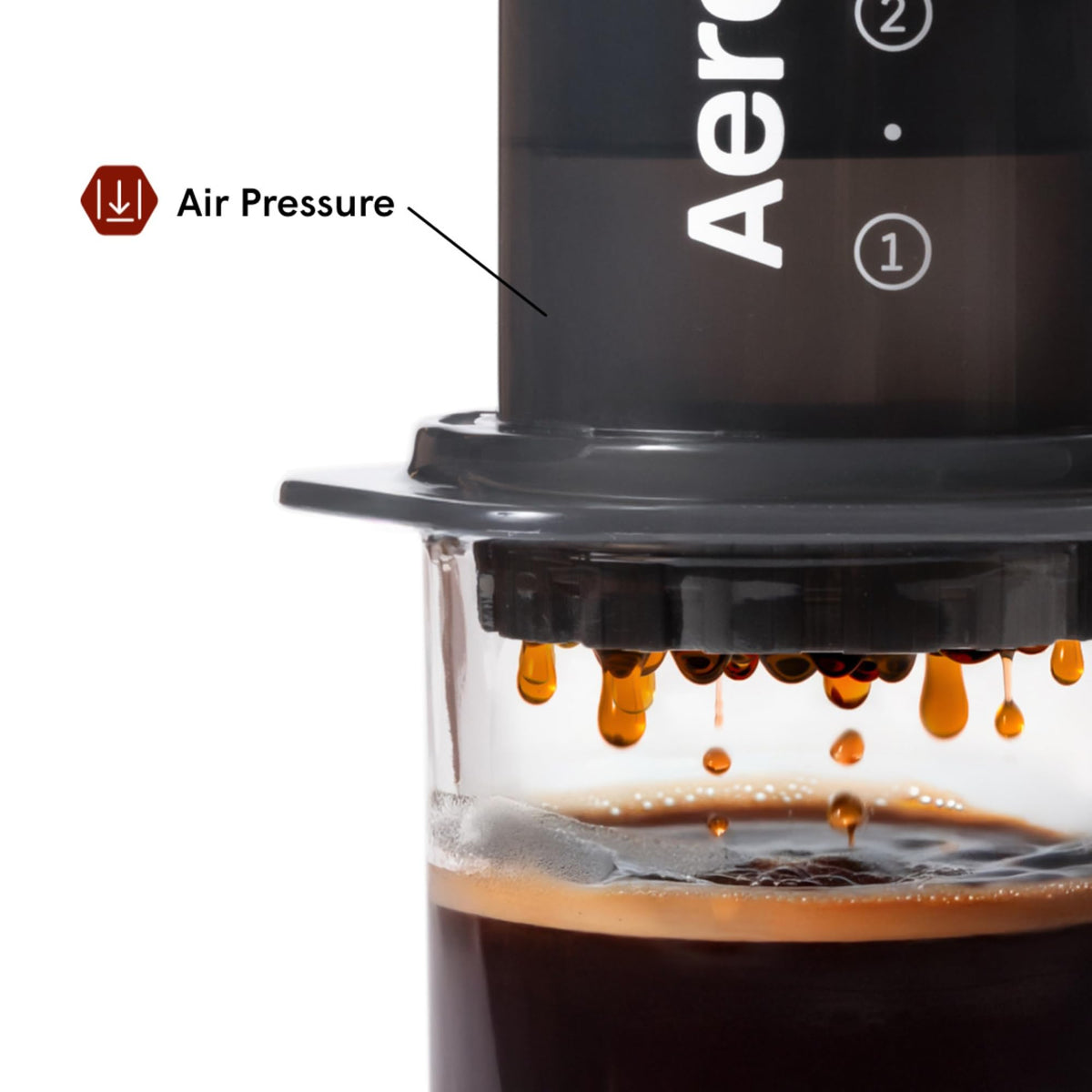 Coffee Press E178298