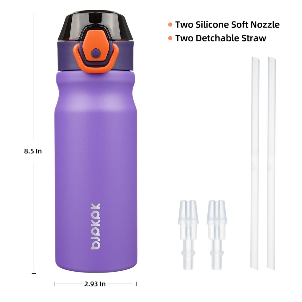 18 oz Insulated Stainless Water Bottle with Straw & Handle B6531