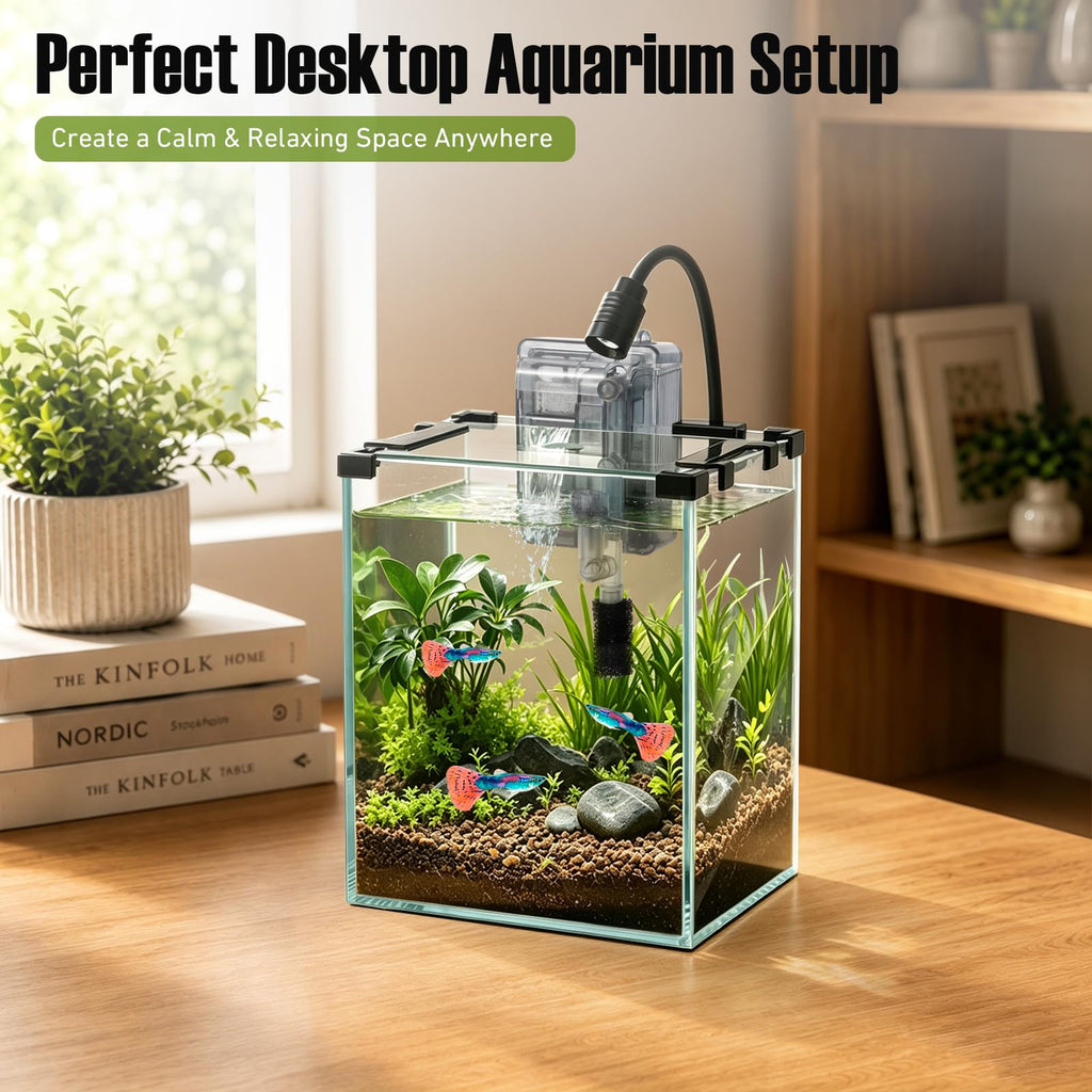 2.2 Gallon Glass Fish Tank Kit D315