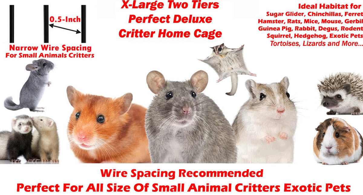 X-Large 4-Tiers Two Full Story Double Unit Critter Home On Wheels O56427