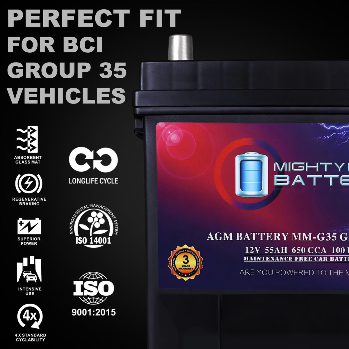 12V 55Ah AGM Replacement Battery C3545
