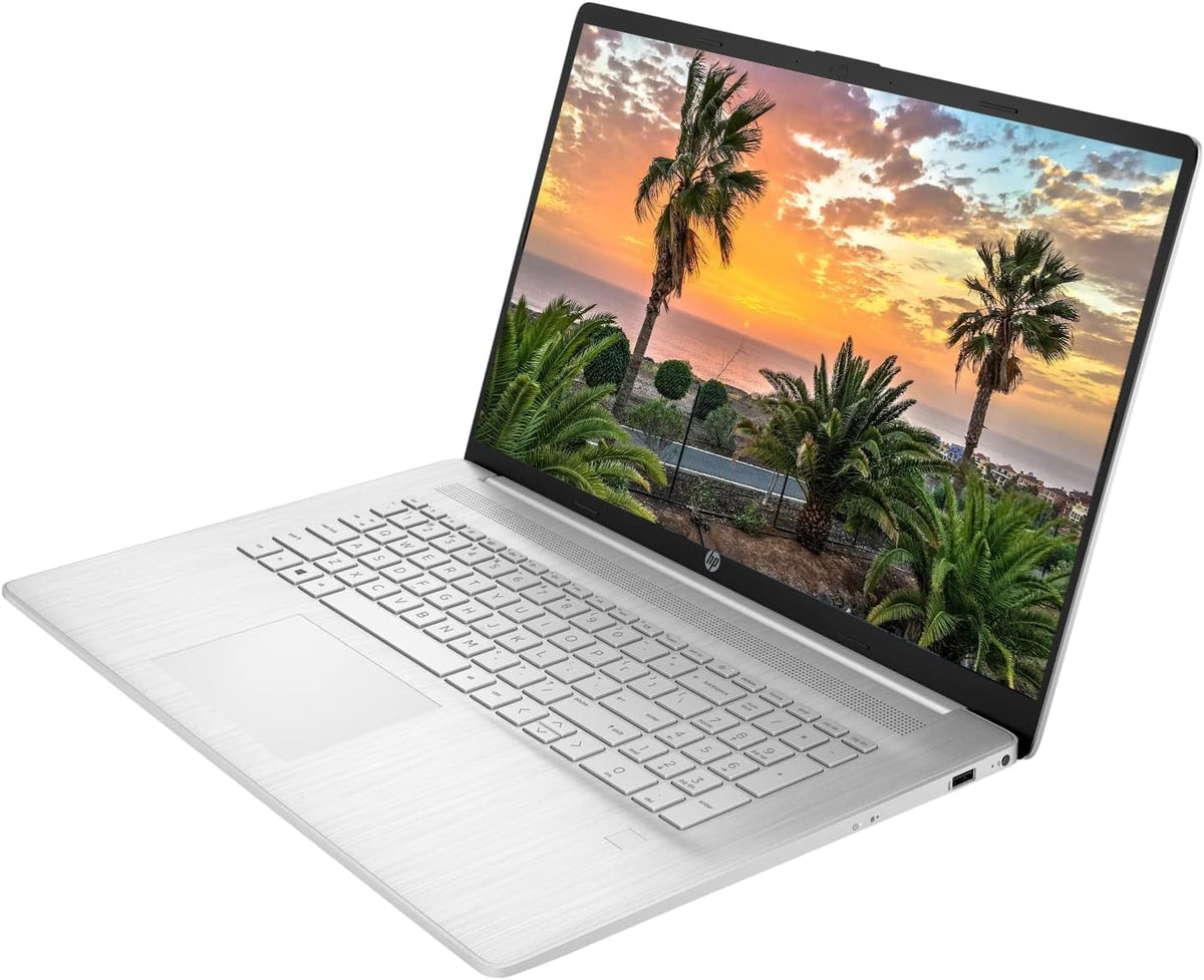 17.3" Touchscreen Laptop, Intel Core i5, 32GB RAM, 1TB SSD, Silver Q885