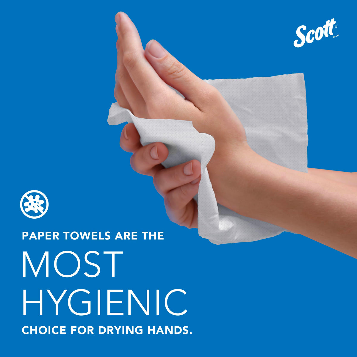 Hard Roll Paper Towels 6 Rolls F87528