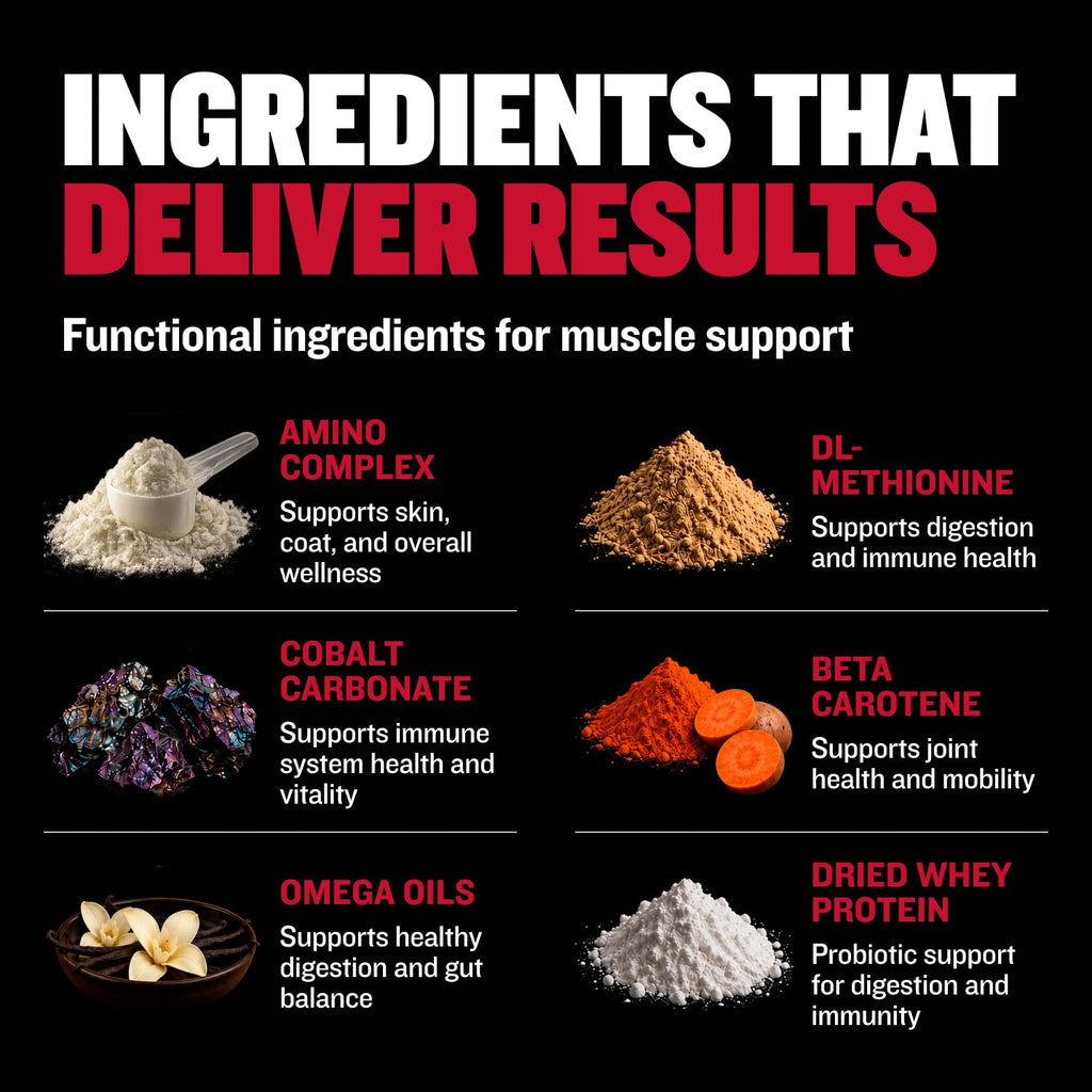 2-in-1 Dog Muscle Builder Chewable Tablets P6131