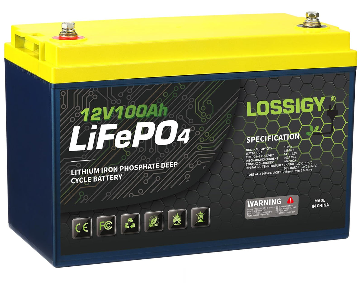 12 Volt 100Ah LiFePO4 Deep Cycle Battery U106062