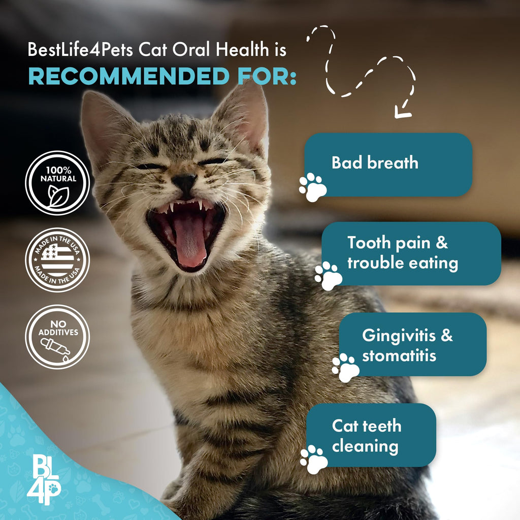 Cat Dental Care Supplement 400 Pills S1222