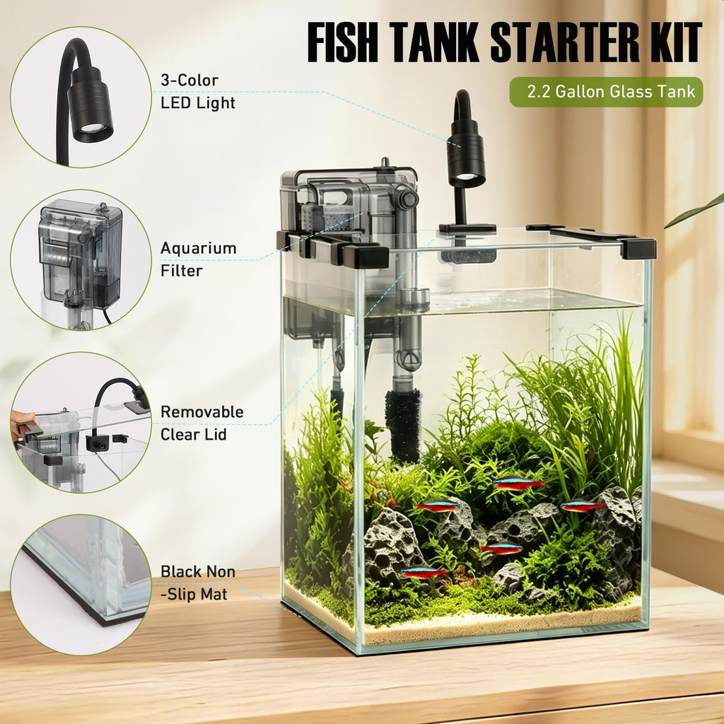 2.2 Gallon Glass Fish Tank Kit D315