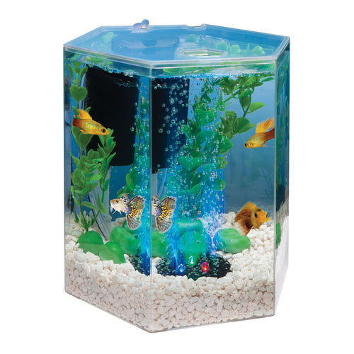 1 Gallon Small Fish Tank Kit A6417