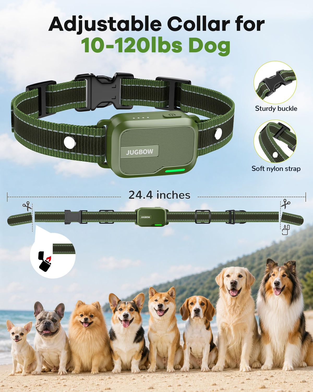 Dog Training Collar 3 Pack R507317