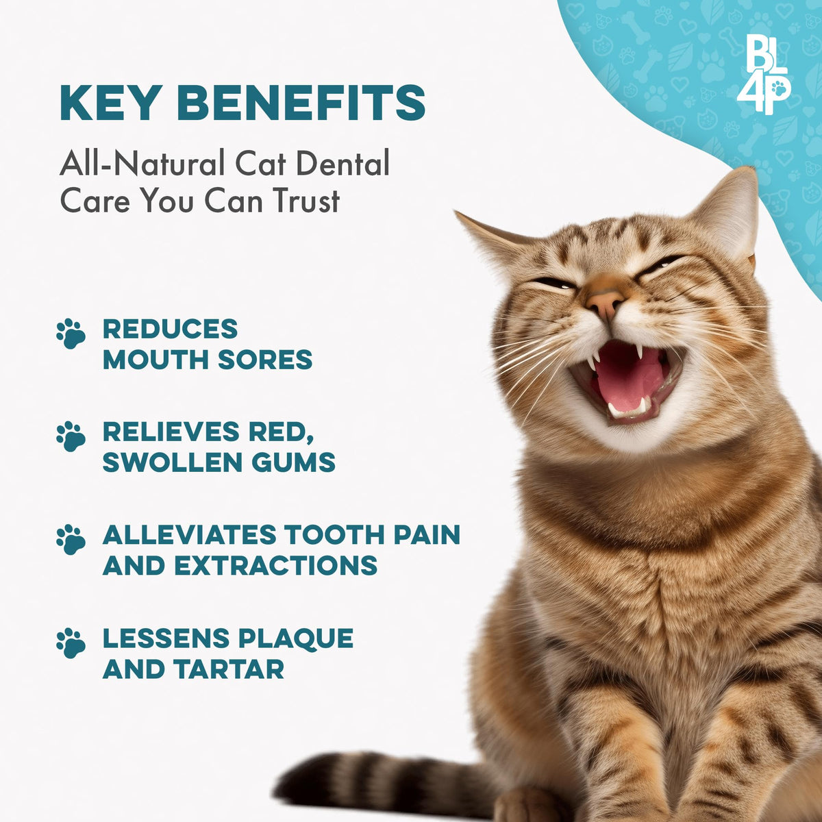 Cat Dental Care Supplement 400 Pills S1222