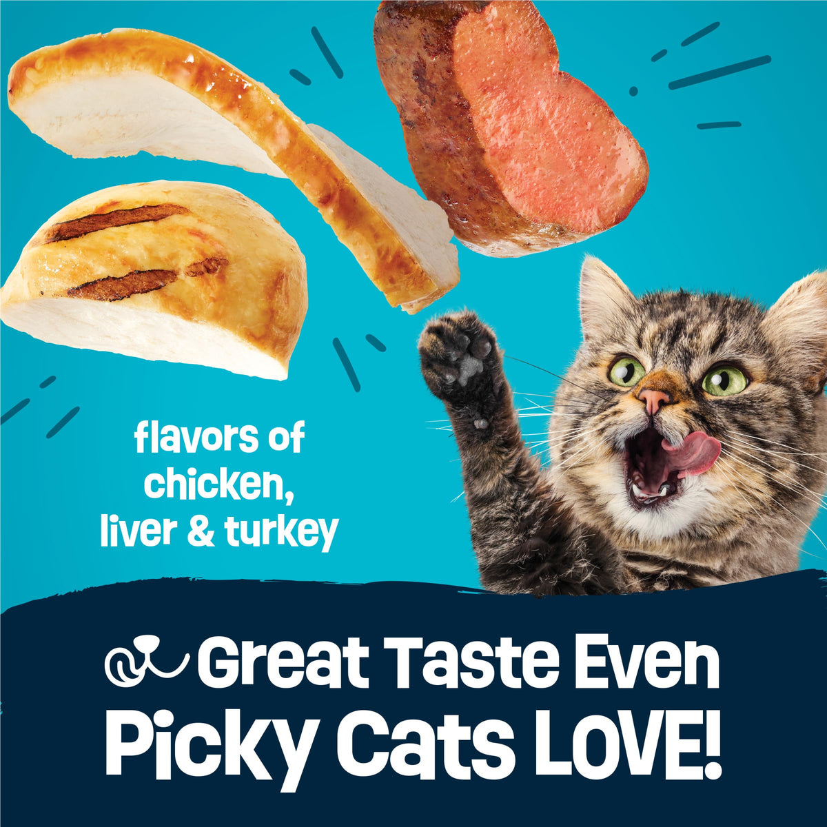 Crunchy Dry Cat Food 3 lb Bag Y7245