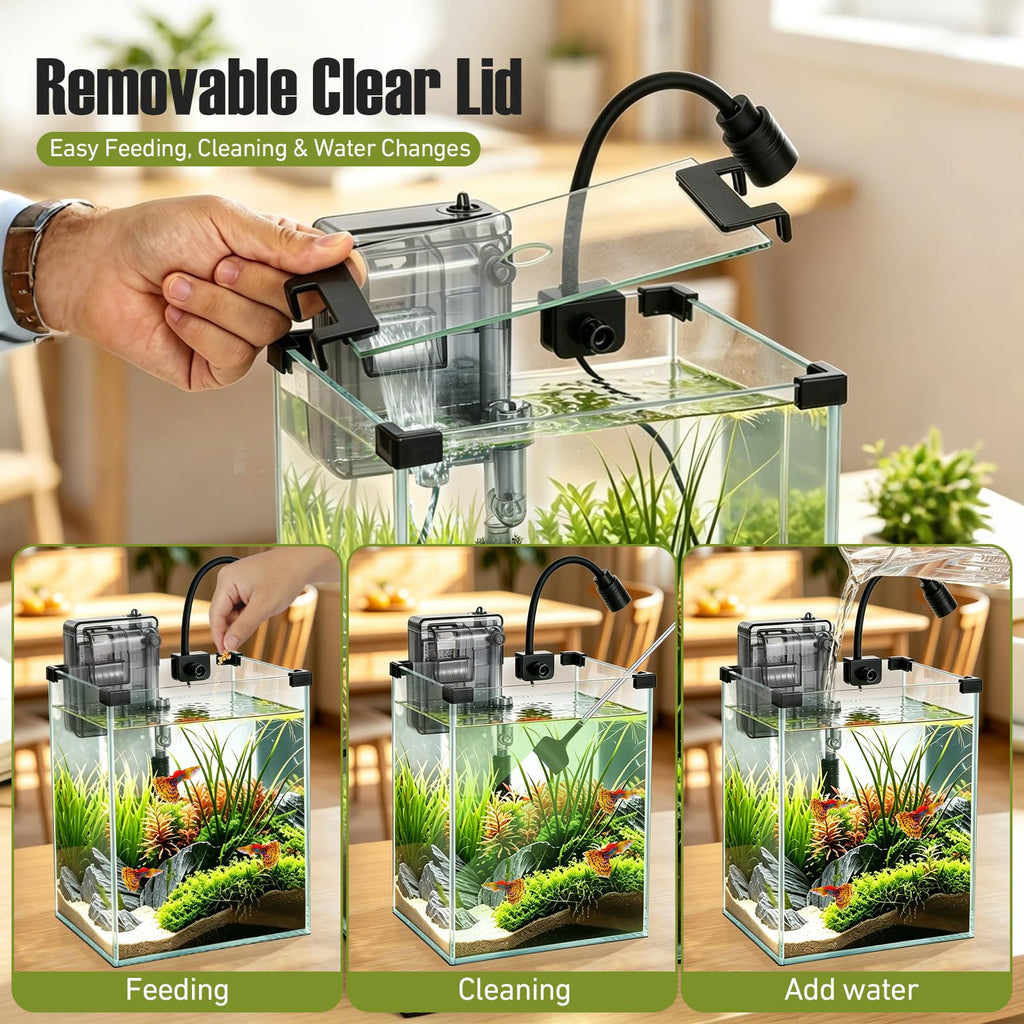 2.2 Gallon Glass Fish Tank Kit D315
