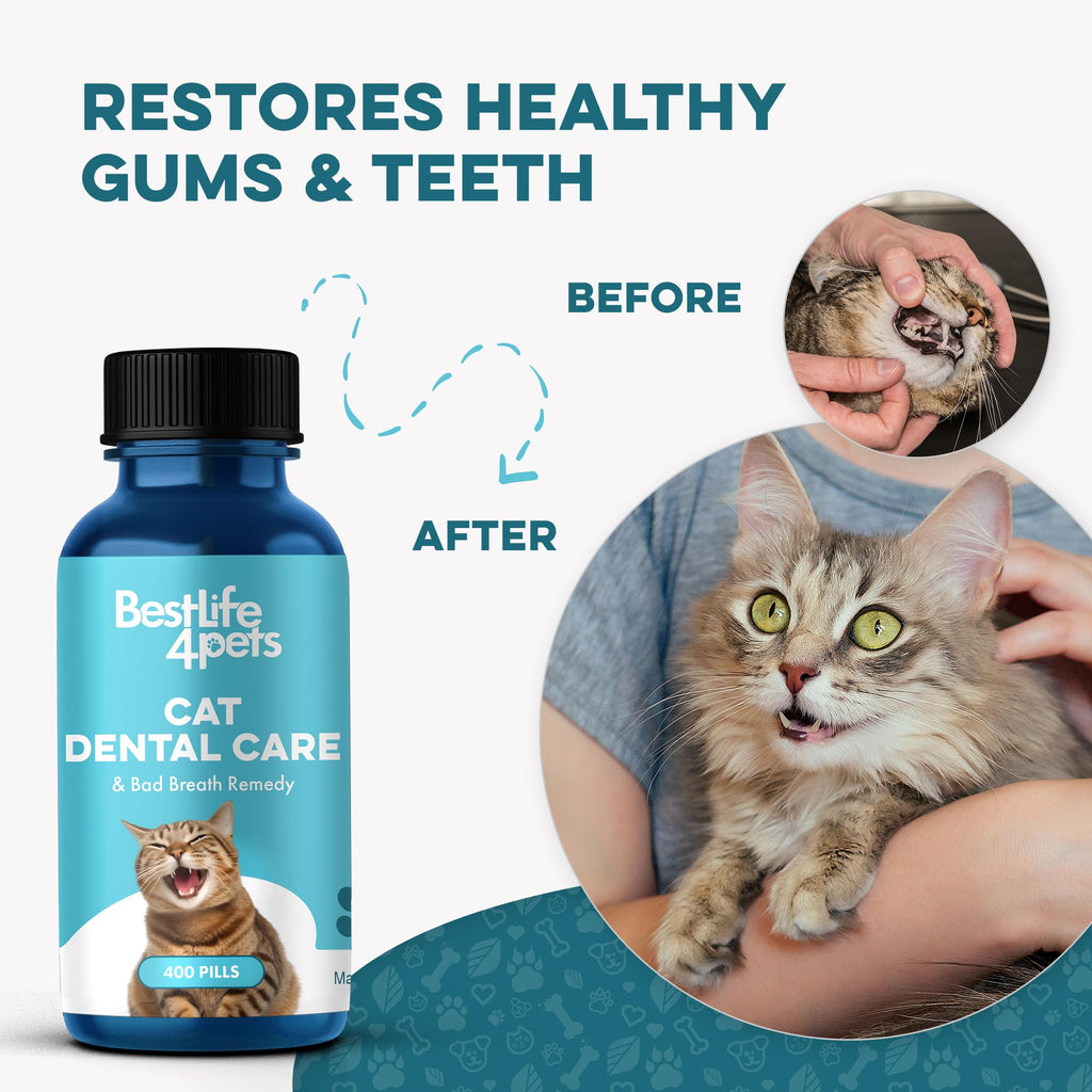 Cat Dental Care Supplement 400 Pills S1222
