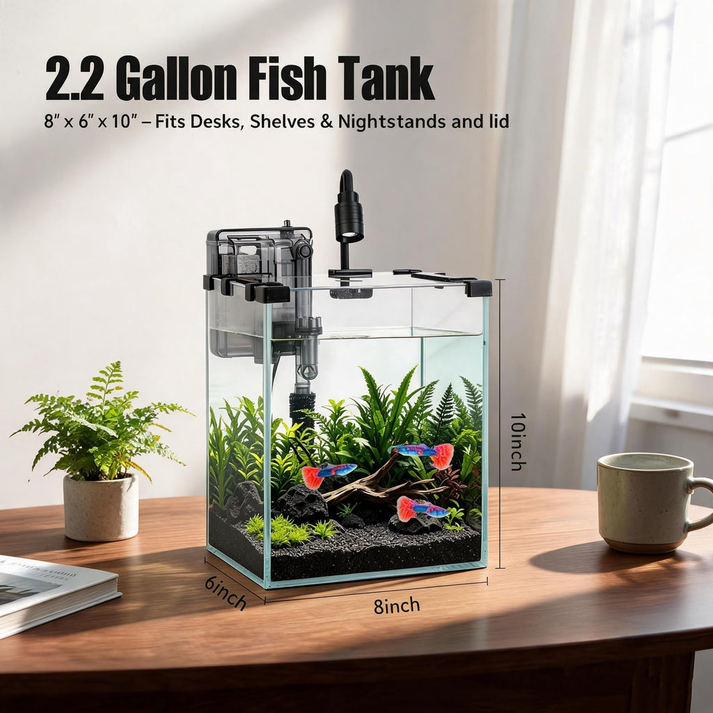 2.2 Gallon Glass Fish Tank Kit D315
