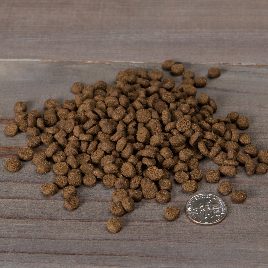 Grain Free Dry Cat Food With Probiotic Duck & Lentils Recipe 12Lb Bag J8497