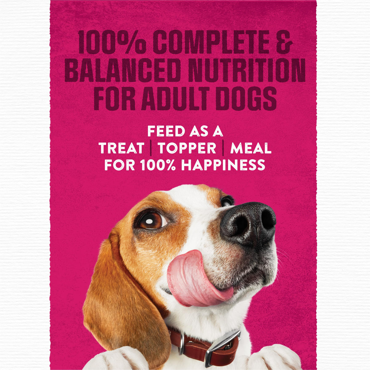 Moist & Meaty Soft Dog Food Pouches, 36 ct H537
